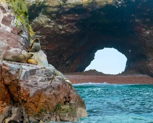 ballestas islands