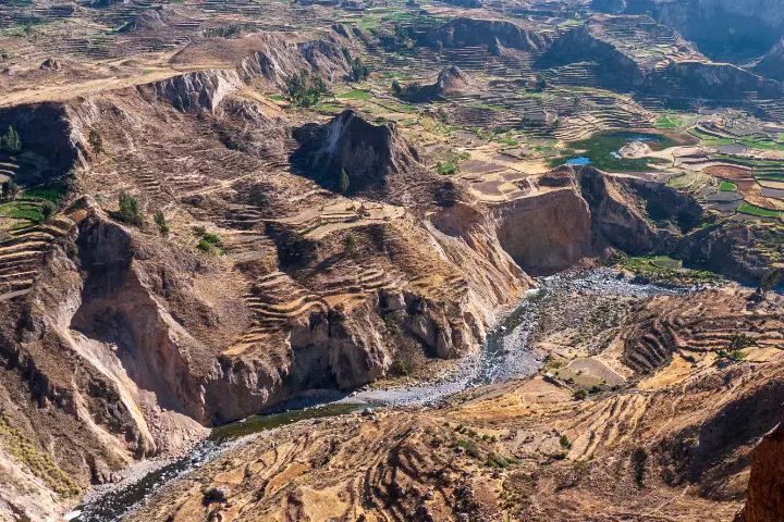 peru travel - Colca Canyon Tour