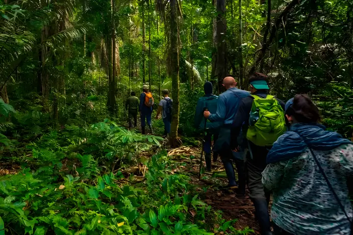 peru travel - bosque nuboso