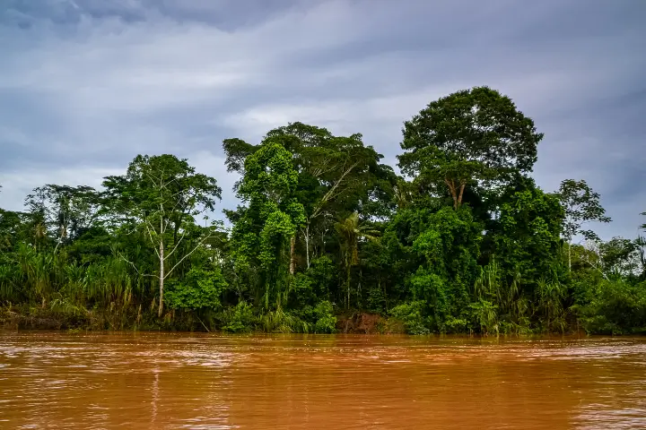 peru travel  - Alto Madre de Dios River