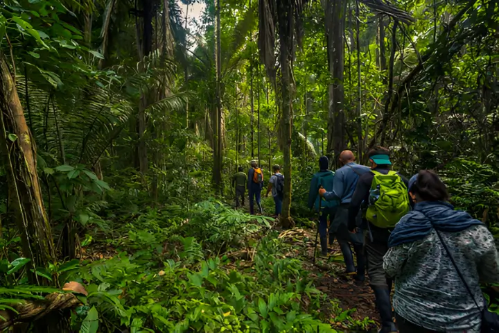 peru travel - Cloud Forest